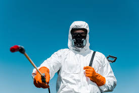 Best Residential Pest Control  in Lincoln, MO